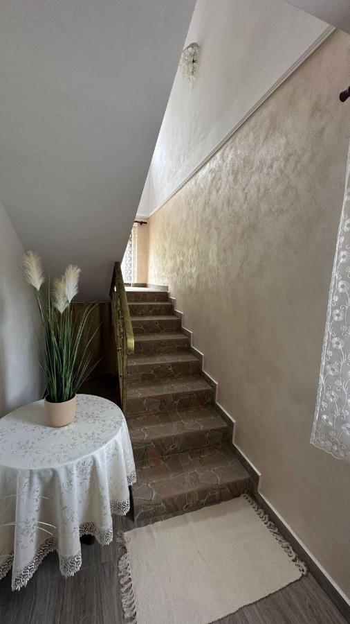 Casa M&M Apartment Vişeu de Sus Екстериор снимка
