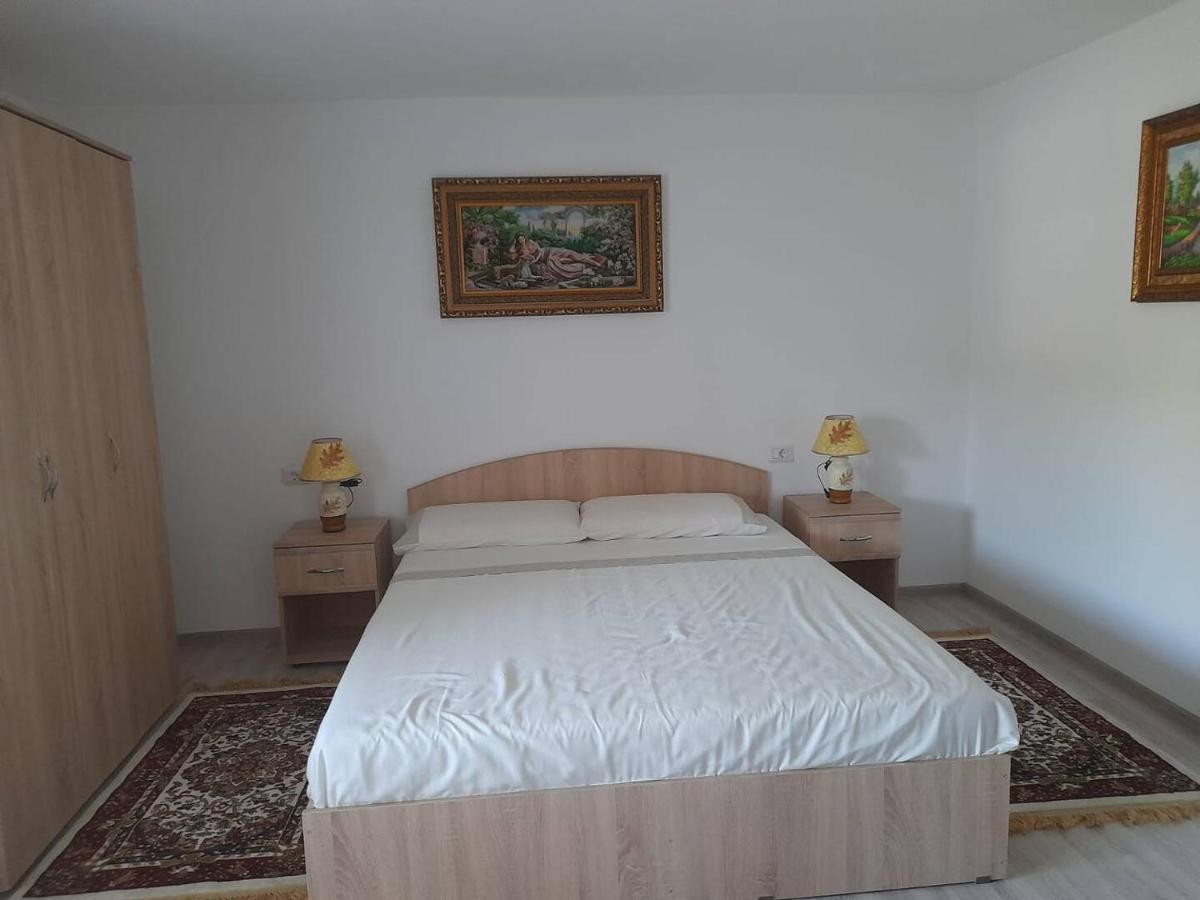 Casa M&M Apartment Vişeu de Sus Екстериор снимка