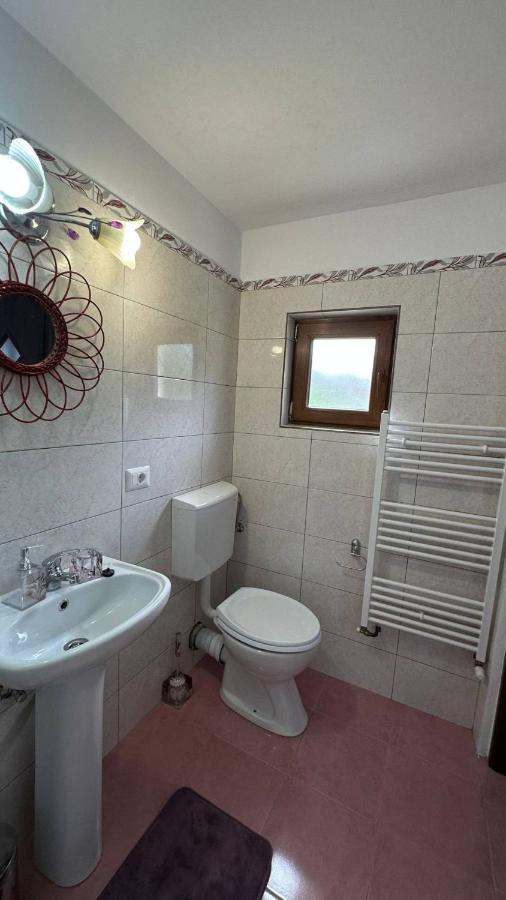 Casa M&M Apartment Vişeu de Sus Екстериор снимка