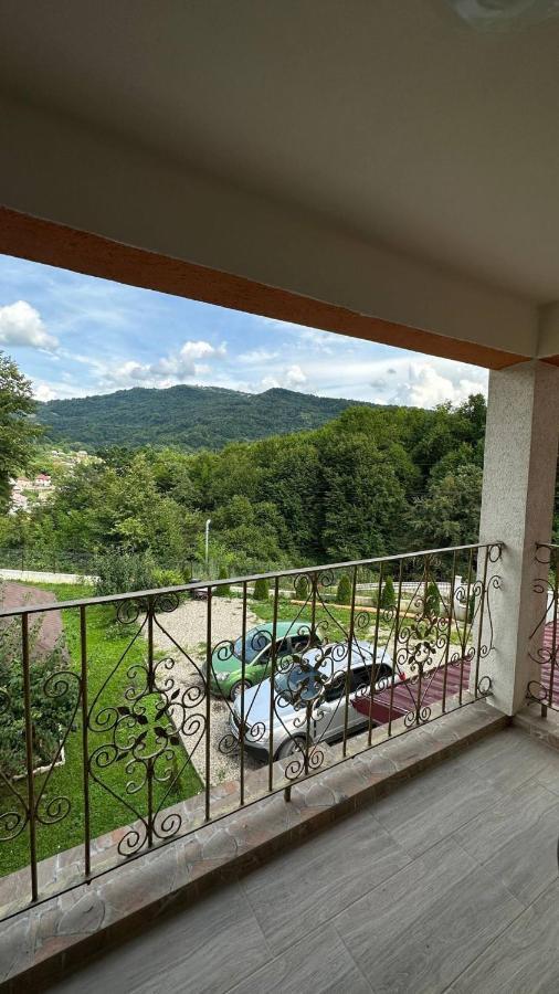 Casa M&M Apartment Vişeu de Sus Екстериор снимка