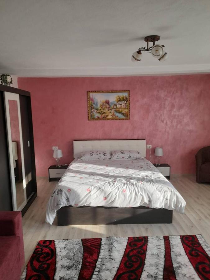 Casa M&M Apartment Vişeu de Sus Екстериор снимка